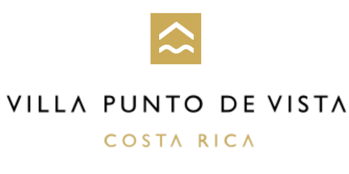 vista punta cana